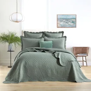 Renee Taylor Scallop Jacquard Juniper Coverlet Set