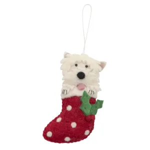 West Highland Terrier in Stocking